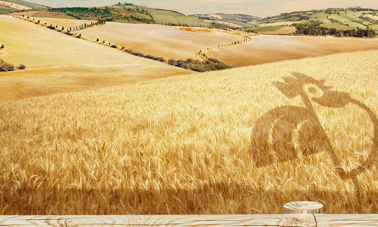 Fertilizantes Edáficos